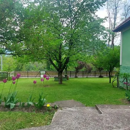 Zelene Kucice Tatil Evi Krizevac